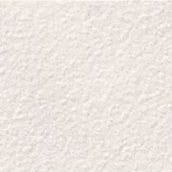 Picture of Milestone - Urban Living 12 x 12 Raw Pearl