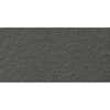 Picture of Milestone - Urban Living 12 x 24 Raw Metropolis