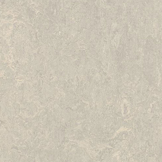 Picture of Forbo - Marmoleum Modular Marble 20 x 20 Concrete