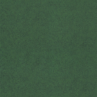 Picture of Forbo - Flotex Advance Code Evergreen