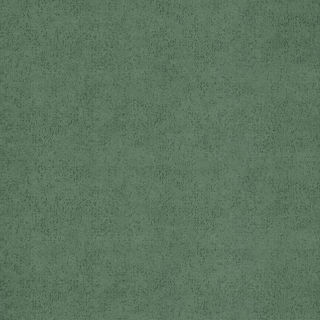 Picture of Forbo - Flotex Advance Code Spearmint