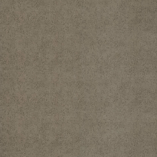 Picture of Forbo - Flotex Advance Code Pumice