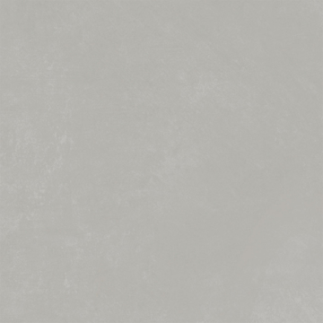 Picture of Emser Tile - Citizen 24 x 24 Matte Public