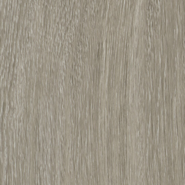 Picture of Patcraft - Homegrain 20 Gallery V2