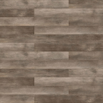 Picture of Patcraft - Timber Grove II 20MIL Aster