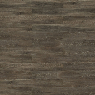 Picture of Patcraft - Timber Grove II 20MIL Frontier