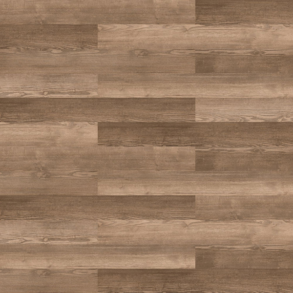 Picture of Patcraft - Timber Grove II 20MIL Courtland