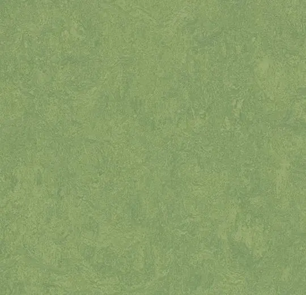 Picture of Forbo - Marmoleum Cinch Loc Seal 12 x 12 Leaf