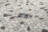 Picture of Emser Tile - Venetian Pebbles Pastel Blend