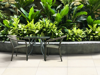 Picture of Emser Tile - Extero Presidio Limestone