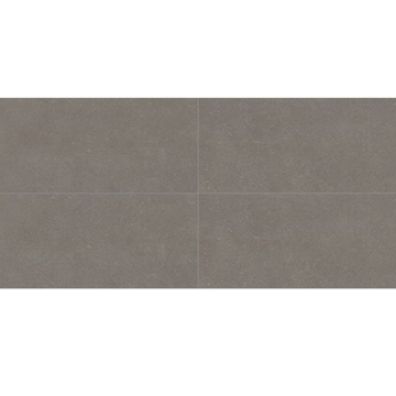 Picture of Daltile - Astronomy 12 x 24 Solstice