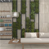 Picture of Daltile - Calligo Nimbus