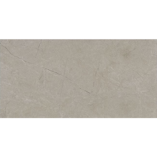 Picture of Marazzi - Classentino Marble 24 x 48 Matte Coliseum Gray V2