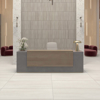 Picture of Marazzi - Illusionist 24 X 48 Lumen