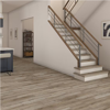 Picture of Daltile - Adventuro Forest