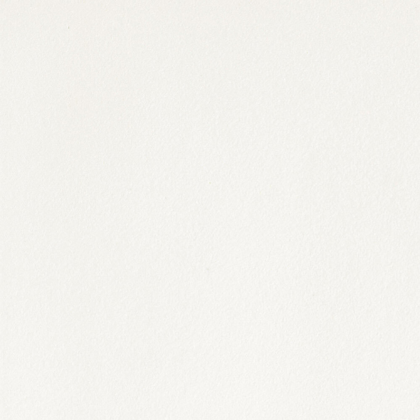 Picture of Stone Peak - Plane 30 x 30 Honed True White