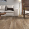 Picture of Daltile - Bellamy Place Courtyard