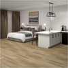 Picture of Daltile - Halstatt 20mil Scenic