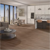 Picture of Daltile - Pines Terrace 8mil Cinnamon