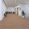 Picture of Daltile - Pines Terrace 8mil Ginger