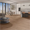 Picture of Daltile - Pines Terrace 8mil Ginger