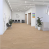 Picture of Daltile - Pines Terrace 8mil Sugar