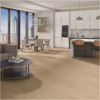 Picture of Daltile - Pines Terrace 8mil Sugar