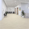 Picture of Daltile - Pines Terrace 20mil Birch