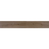 Picture of Daltile - Pines Terrace 20mil Cinnamon