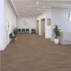 Picture of Daltile - Pines Terrace 20mil Cinnamon