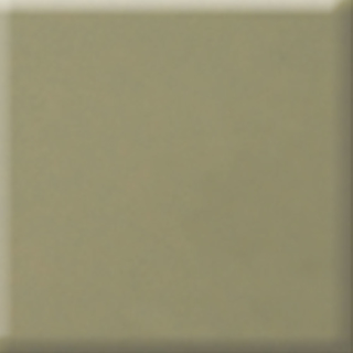Picture of Daltile - Natural Hues 12 x 12 Birch