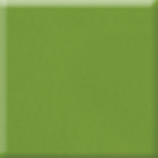 Picture of Daltile - Natural Hues 6 x 6 Fern