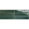 Picture of Daltile - Remedy Herbal