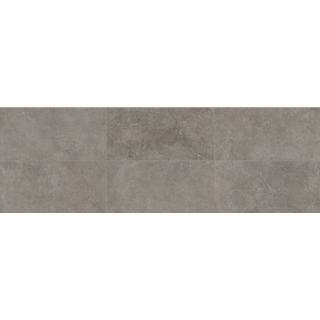 Picture of Daltile - Rhetoric 8 x 24 Composition Grey