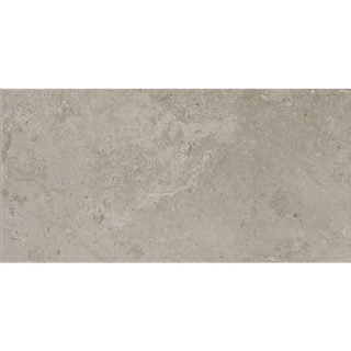 Picture of Daltile - Scripter 12 x 24 Mentor
