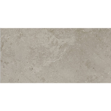 Picture of Daltile - Scripter 12 x 24 Mentor
