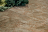 Picture of Happy Floors - Eternity 12 x 24 Forest