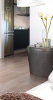 Picture of Happy Floors - Lefka 24 x 24 Walnut