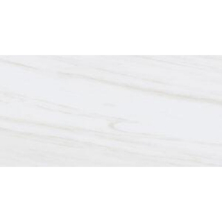 Picture of Tesoro - Adler 24 x 48 Dolomite Gris