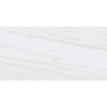 Picture of Tesoro - Adler 24 x 48 Dolomite Gris