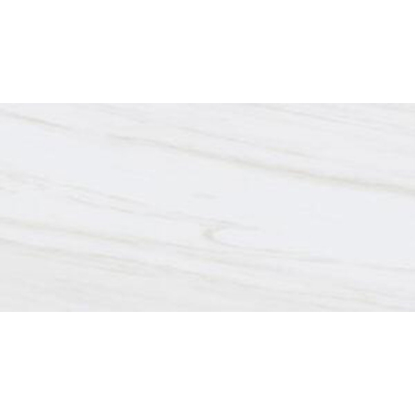 Picture of Tesoro - Adler 24 x 48 Dolomite Gris