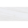 Picture of Tesoro - Adler 12 x 24 Dolomite Gris