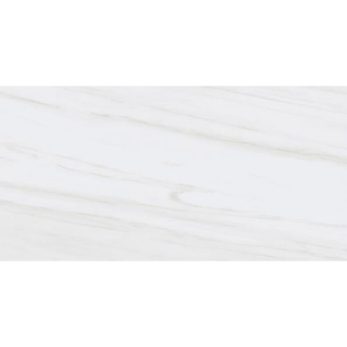 Picture of Tesoro - Adler 12 x 24 Dolomite Gris
