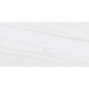 Picture of Tesoro - Adler 12 x 24 Dolomite Gris