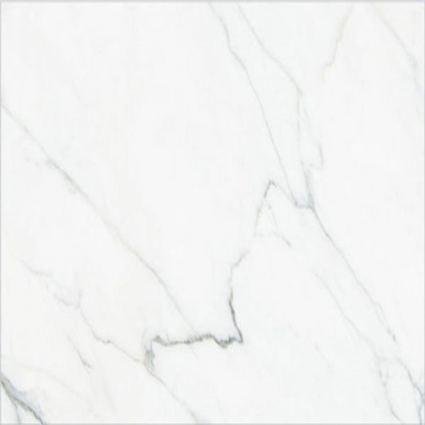 Picture of Happy Floors - Calacatta 24 x 24 Paver White
