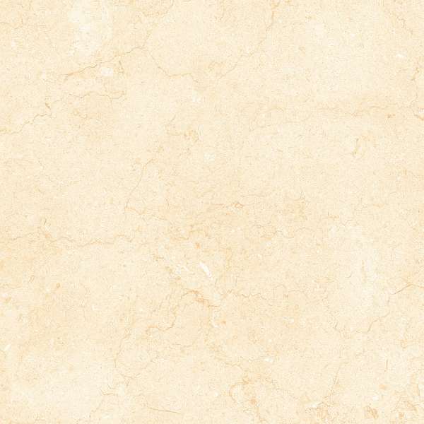 Picture of Tesoro - Bejha 24 x 24 Fiorito Matte