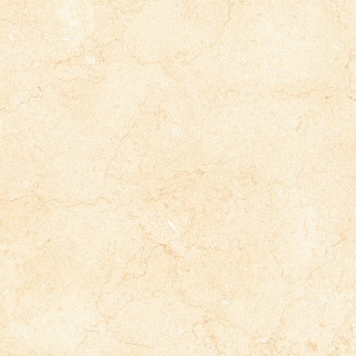 Picture of Tesoro - Bejha 12 x 24 Fiorito Matte