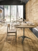 Picture of Tesoro - Cortina 10 x 60 Honey
