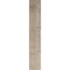 Picture of Tesoro - Cortina 10 x 60 Natural