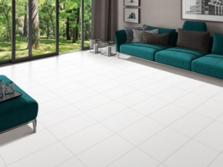 Picture of Tesoro - Delhi 12 x 24 Polished Arctic White